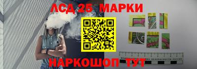 гидропоника Сланцы