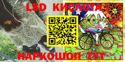 гидропоника Сланцы