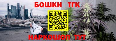 гидропоника Сланцы