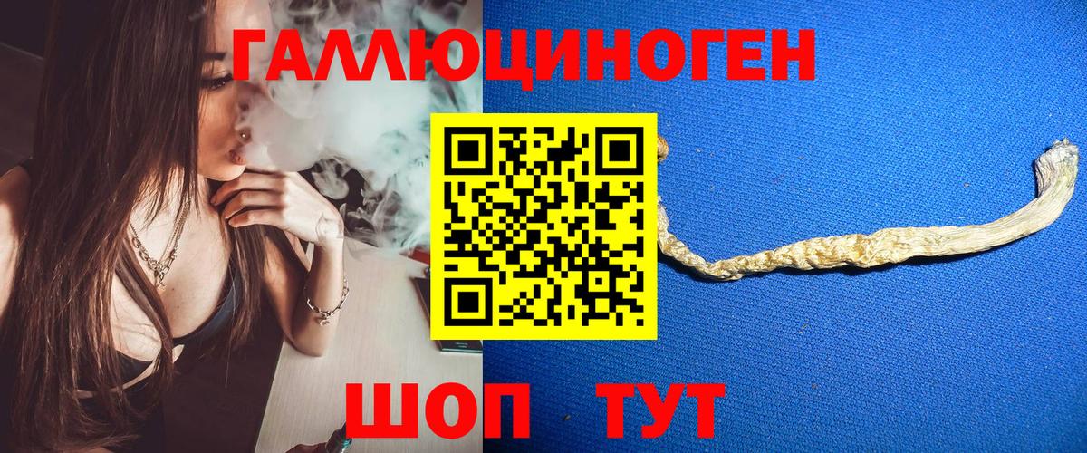 Галлюциногенные грибы Cubensis  Галлюциногенные грибы прущие грибы  Вход с VPN  Нововоронеж 